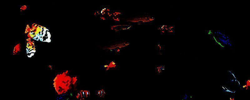 游戏中玩家正在清理鱼缸并投喂鱼食的界面画面