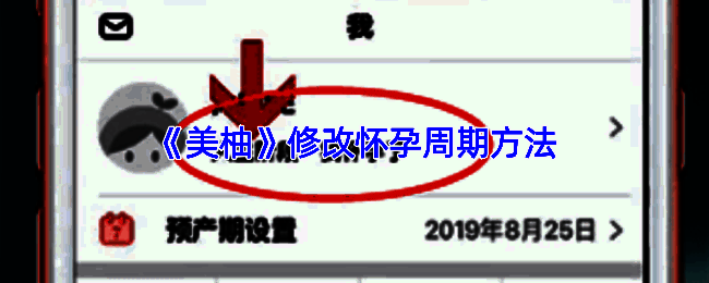 美柚APP界面展示，用户正在查看孕期相关信息