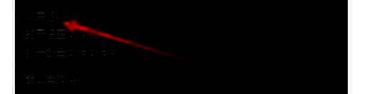 通用设置页面光标隐藏选项位置标注图，红色圈注重点功能项