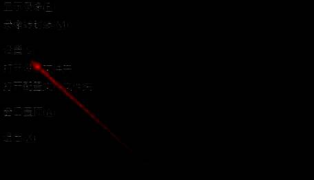 OBS设置界面左侧导航栏高亮显示‘高级’选项，背景为深灰色