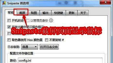 Snipaste主界面展示，界面清晰直观，操作区域布局合理