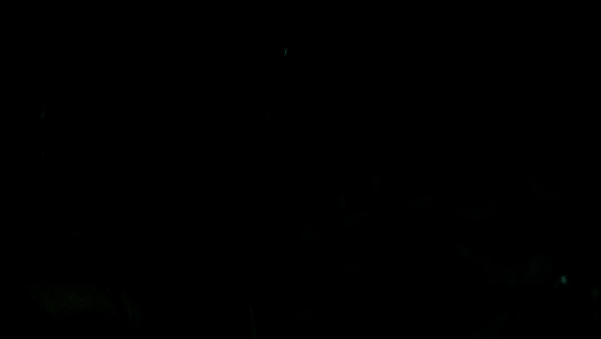 琳恩与阿伯拉姆并肩站立于山巅，远方是朝阳升起的景象，寓意希望与新生