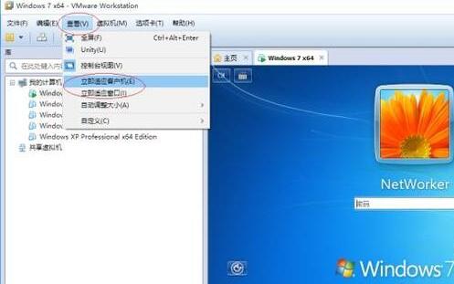 VMware查看菜单中“自动调整大小”选项的设置界面