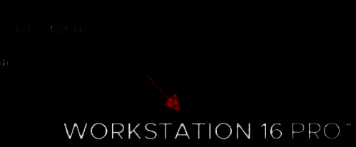 VMware主界面展示，左侧为库区域，上方为功能菜单