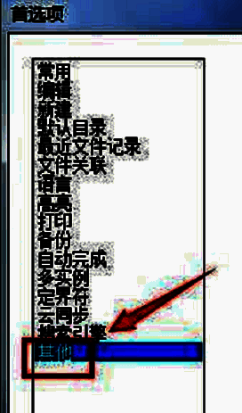 首选项窗口左侧导航栏中的其他栏目被展开，界面展示相关设置内容