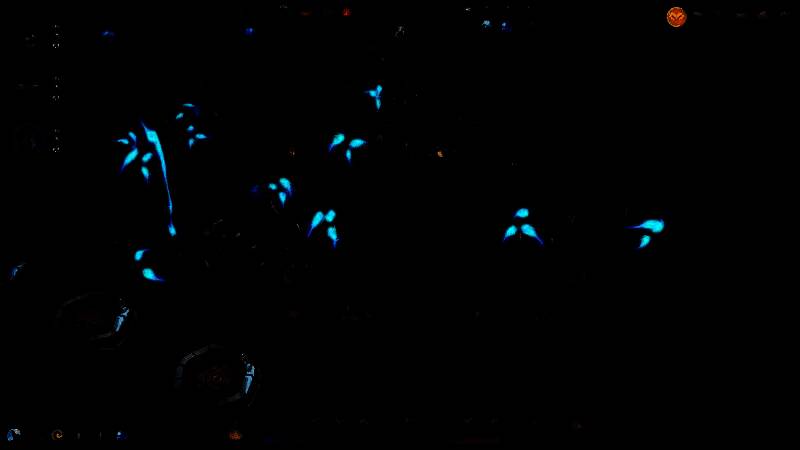 《磐石守护者》扩展包场景图，新增蛙类角色与岩石地貌，环境细节丰富，展现新生物群系风貌