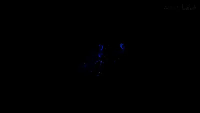 灵魂莲华莫甘娜全身立绘，手持火焰法杖，身后环绕灵花幻影