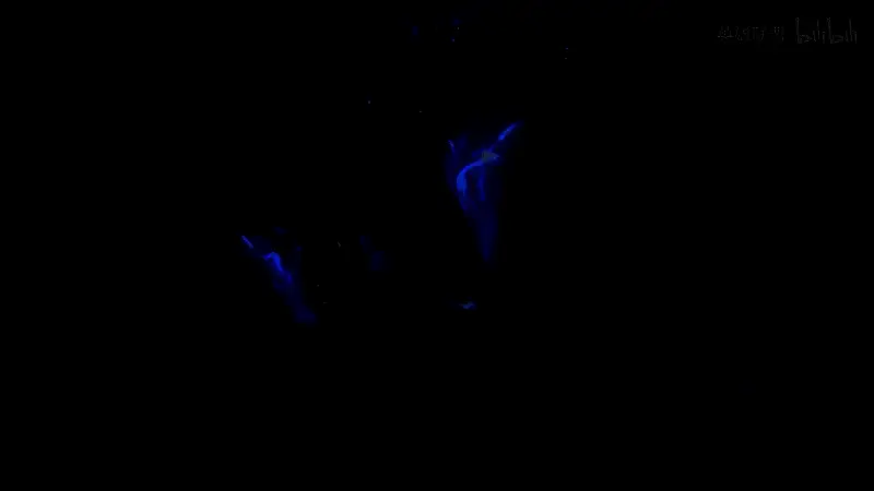 皮肤细节特写，灵花随风飘散，衣袍翻飞间尽显神秘气息