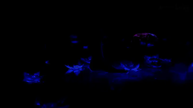 场景渲染图，莫甘娜站立于莲台之上，周围光影交错