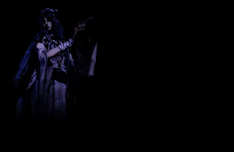 复仇者基础属性面板展示，显示低生命值、高魔法值的特点