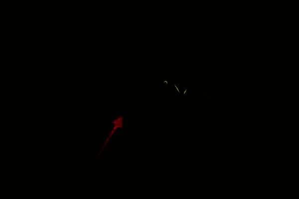 画笔工具正在擦除图像边缘，逐步展现背景图层内容