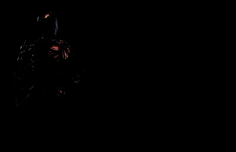 执行者基础属性展示图，界面清晰显示各项数值