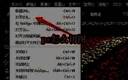 Photoshop主界面展示，左侧为工具栏，右侧为已打开的示例图片