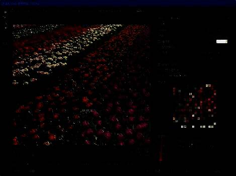 导出设置界面展示多个选项卡，底部‘存储’按钮处于可点击状态