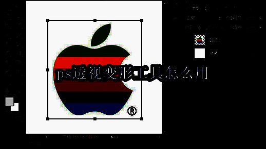 Photoshop 2021界面展示，突出显示透视变形工具所在位置