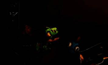 玩家正在与宠物进行互动操作，屏幕上显示喂食和抚摸选项