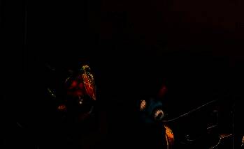 宠物拔河小游戏画面，玩家使用鱼人玩具与宠物互动