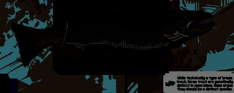 《Scale the Depths》游戏场景截图，展现清新卡通风格下的海底探索世界