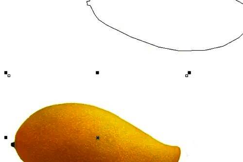 路径与图片分离，路径位于上方，图片位于下方