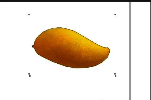 进入编辑模式后的抠图界面，显示路径内保留的图像部分