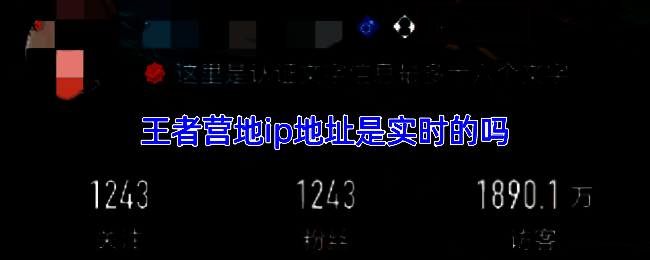 王者营地界面截图，展示用户IP地址与数字ID查询入口