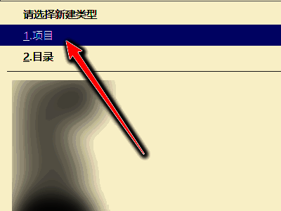 项目创建向导界面，提供多种模板与配置选项
