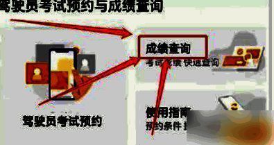 成绩查询界面展示，显示各科目考试分数与通过状态