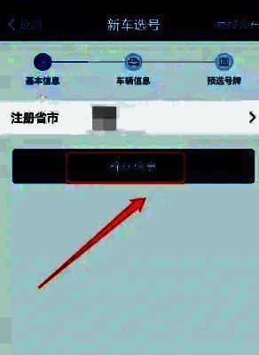 新车选号页面信息填写界面，显示号牌种类选择及车辆信息输入区域