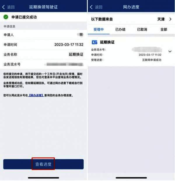 网办进度查询页面截图，显示各类在线办理业务的状态信息