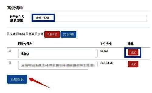 BT种子高级编辑界面，包含多个可配置选项