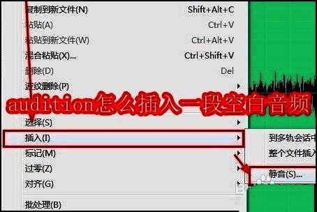 Audition软件界面展示，主窗口中显示音频波形
