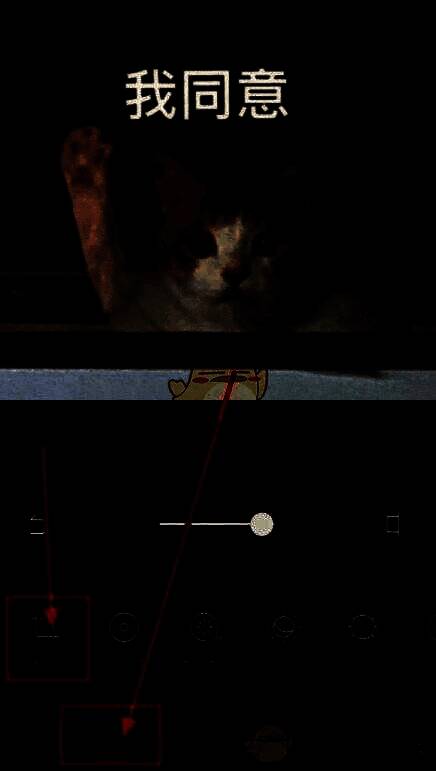 醒图镜像功能操作步骤一，展示调节菜单中的构图选项