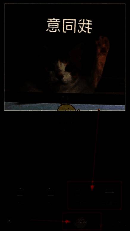 醒图镜像功能操作步骤二，显示旋转界面中的水平与垂直翻转选项