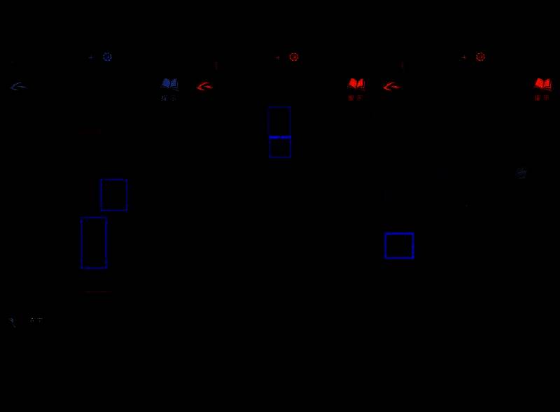 种子摆放顺序图示，决定最终谜题成败