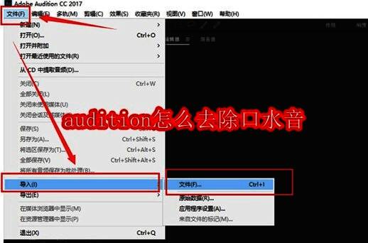 Audition软件界面展示，主窗口显示音频波形图