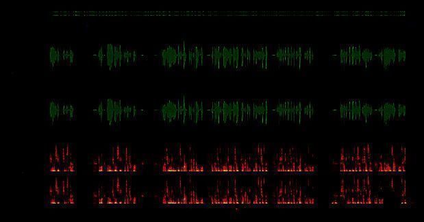 音频编辑界面，左侧为轨道控制区，右侧为波形显示区域