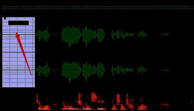 右键菜单选项，包含剪切、复制、静音等多种编辑功能
