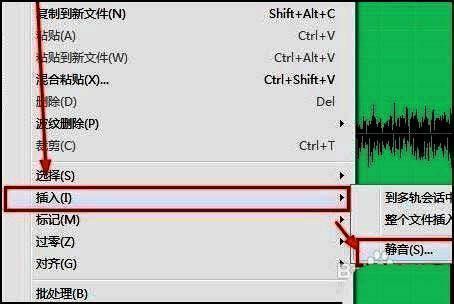 编辑菜单展开后显示插入和静音选项被高亮选中