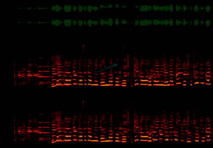 音频播放进度条定位于吸气声出现的位置，正在进行细节监听