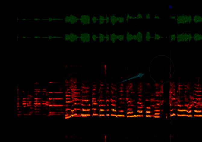 修复画笔工具正在对频谱图中的吸气声区域进行涂抹操作，画面显示处理痕迹