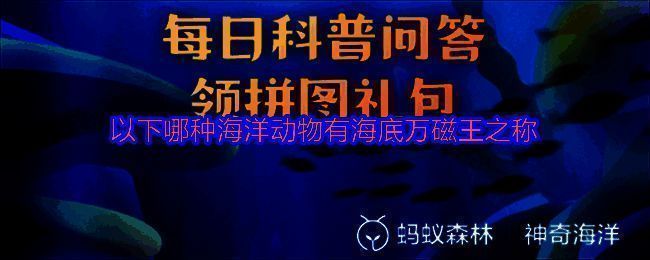支付宝神奇海洋活动界面展示，显示每日答题内容