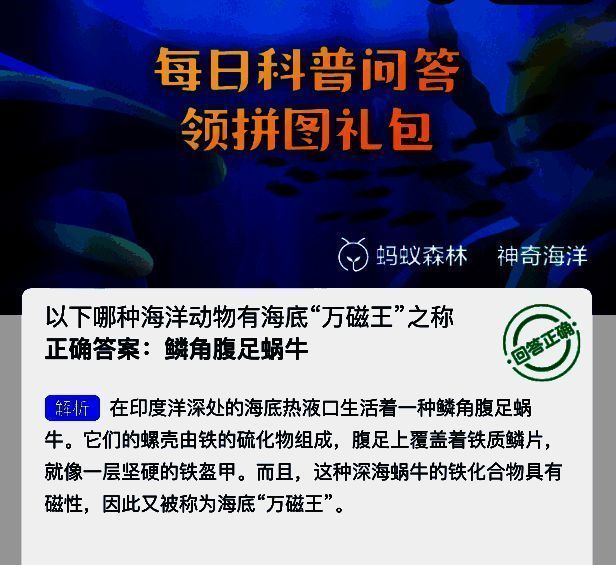 鳞角腹足蜗牛特写图片，展示其铁质外壳和独特形态