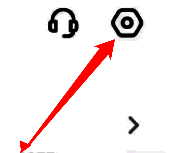 设置页面入口展示，齿轮图标清晰可见