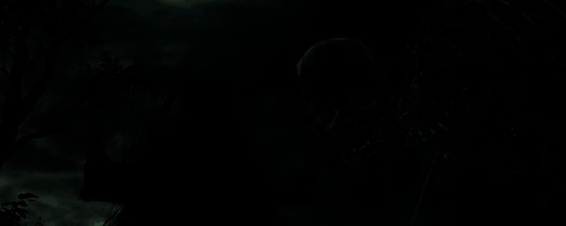 艾尔登法环游戏内复仇者角色战斗画面，手持武器施放技能特效