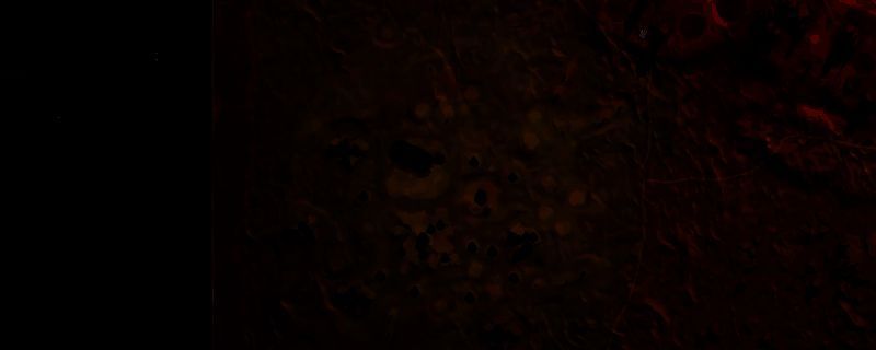 《沙丘：觉醒》冥府区域实景图，黄绿色地形中散布着发光的茉晶体矿脉