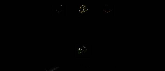 三枚印章组合完成，传国玉玺闪耀登场