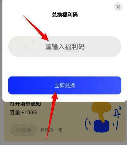 福利码输入界面等待用户填写并提交