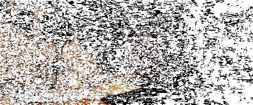 角色时装与发型全面优化，画面细节更加精致