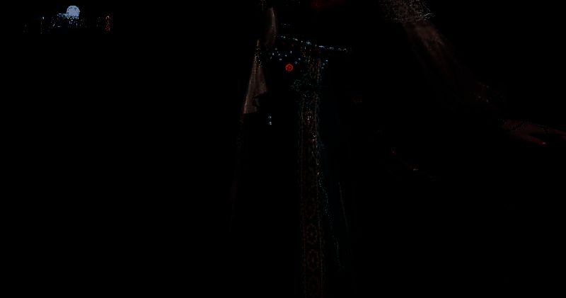 庆典星河巨幕现场截图，呈现星空下大型庆典演出与互动场景