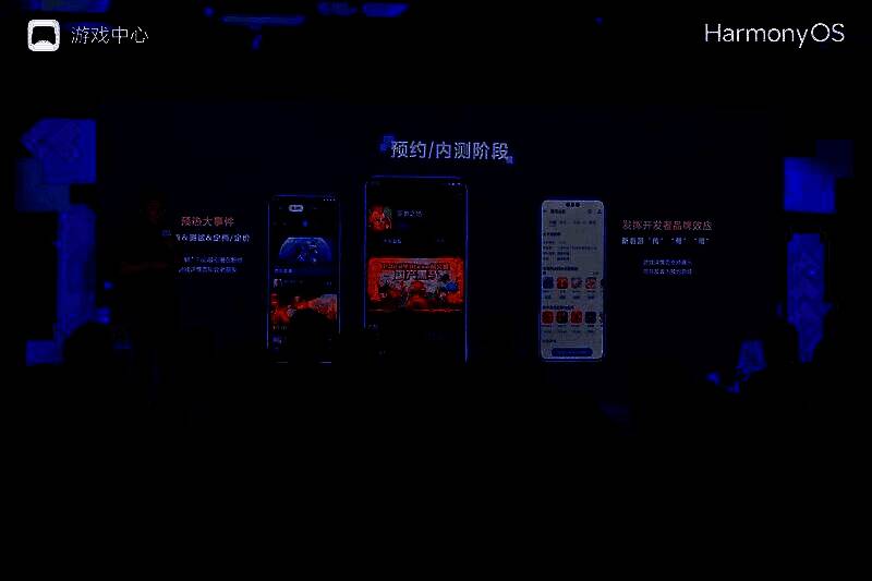 开发者扶持流程图示，涵盖五个关键阶段